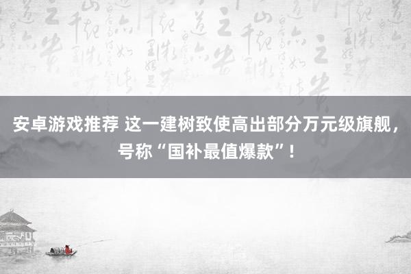 安卓游戏推荐 这一建树致使高出部分万元级旗舰，号称“国补最值爆款”!